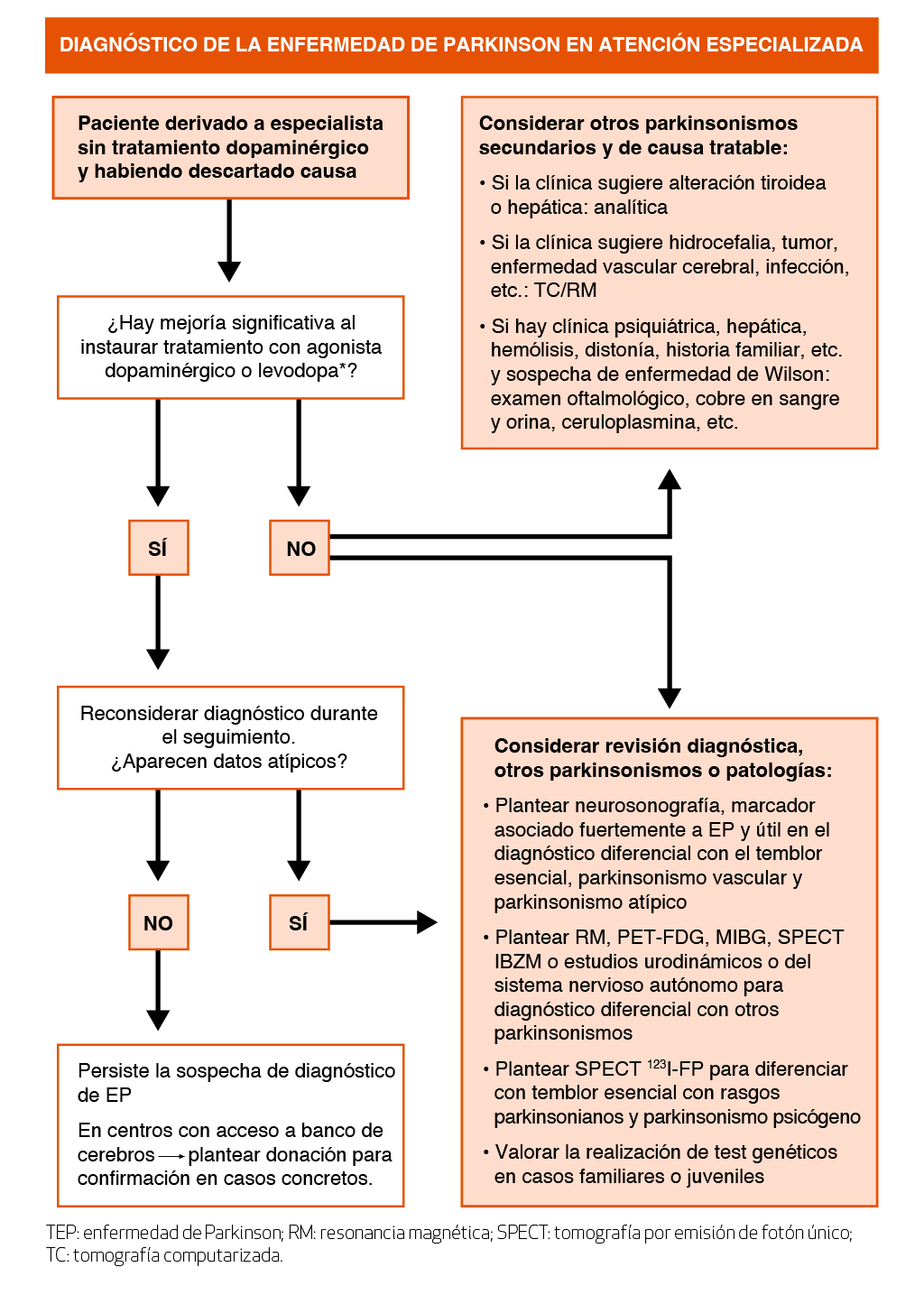 diagnóstico de la enfermedad de parkinson en atención especializada