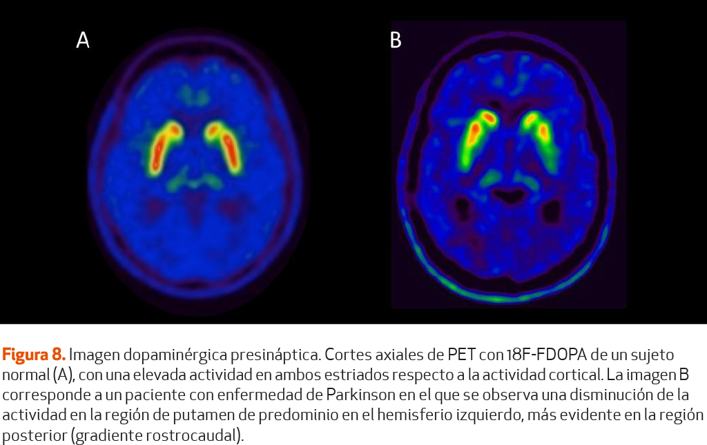 IMG CAP 2 FIGURA 8
